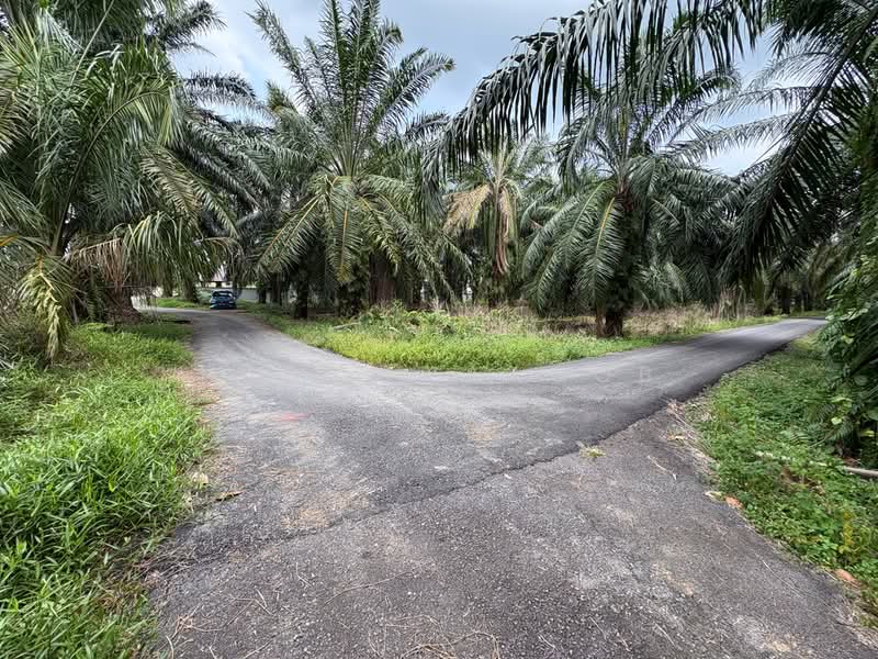 Agricultural Land for Sale in Kampung Sungai Lang (Banting) - Hafiz Yaacob - Exterior - PropertyGuru.com.my