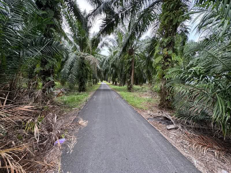 Agricultural Land for Sale in Kampung Sungai Lang (Banting) - Hafiz Yaacob - PropertyGuru.com.my