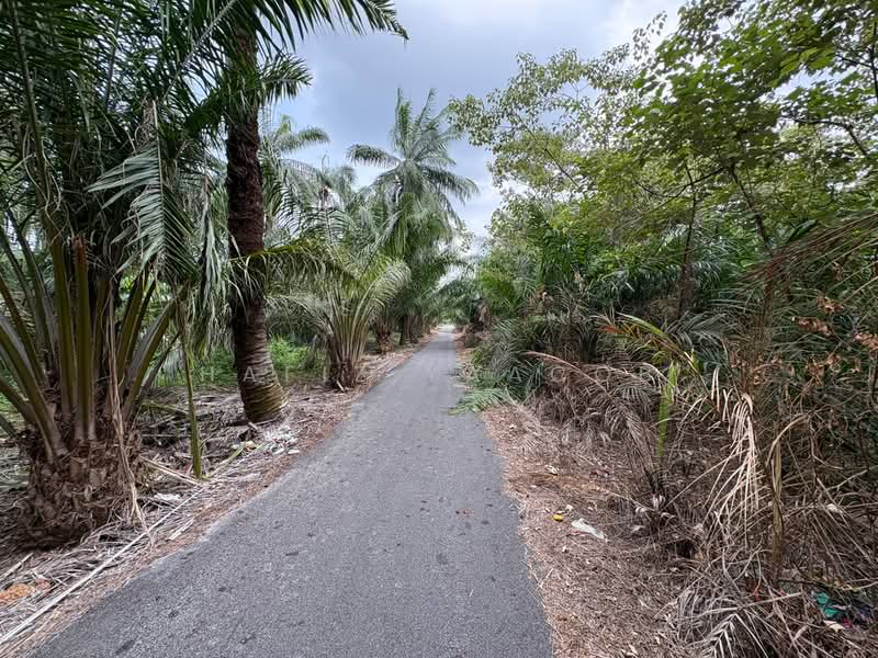 Agricultural Land for Sale in Kampung Sungai Lang (Banting) - Hafiz Yaacob - Exterior - PropertyGuru.com.my