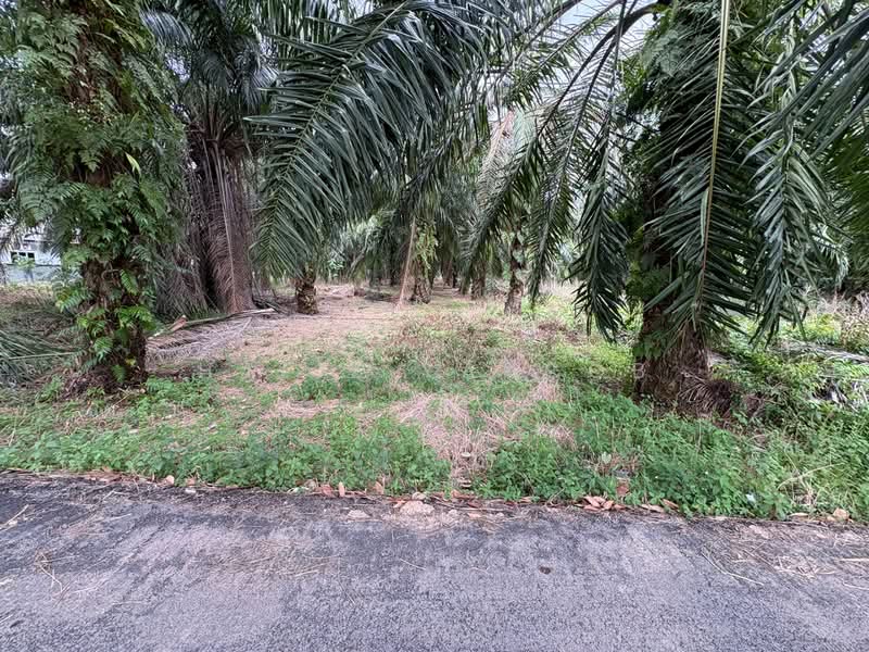 Agricultural Land for Sale in Kampung Sungai Lang (Banting) - Hafiz Yaacob - Exterior - PropertyGuru.com.my