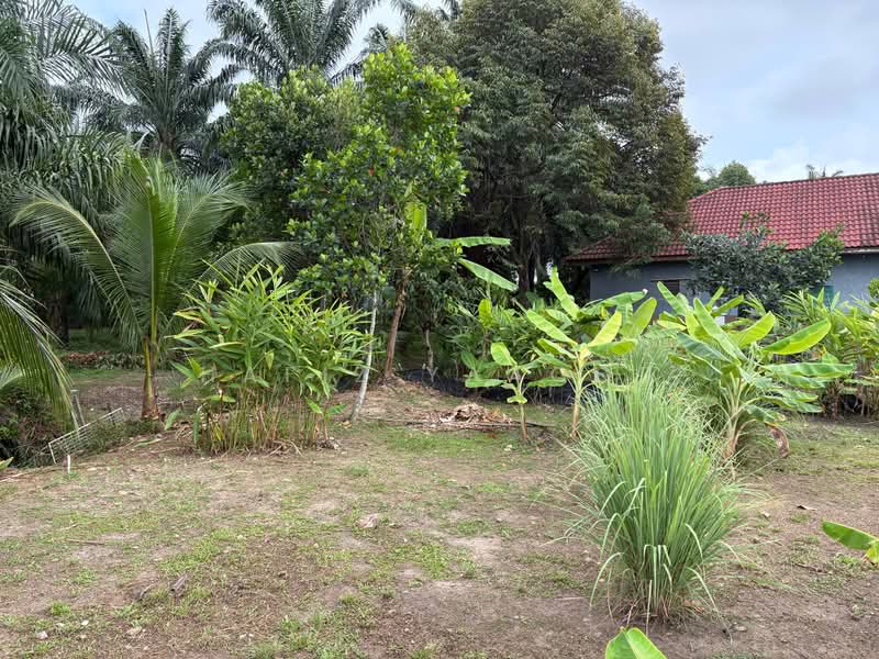 Tanah Kediaman untuk Dijual di Banting (Selangor) - Hafiz Yaacob - Exterior - PropertyGuru.com.my