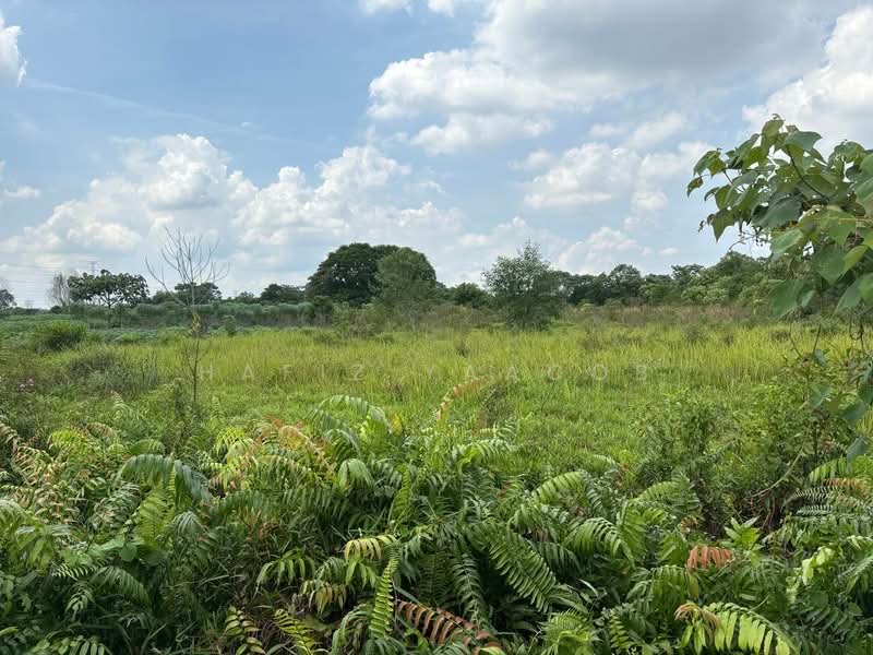 Tanah Pertanian untuk Dijual di Kampung Johan Setia (Klang) - Hafiz Yaacob - Garden - PropertyGuru.com.my