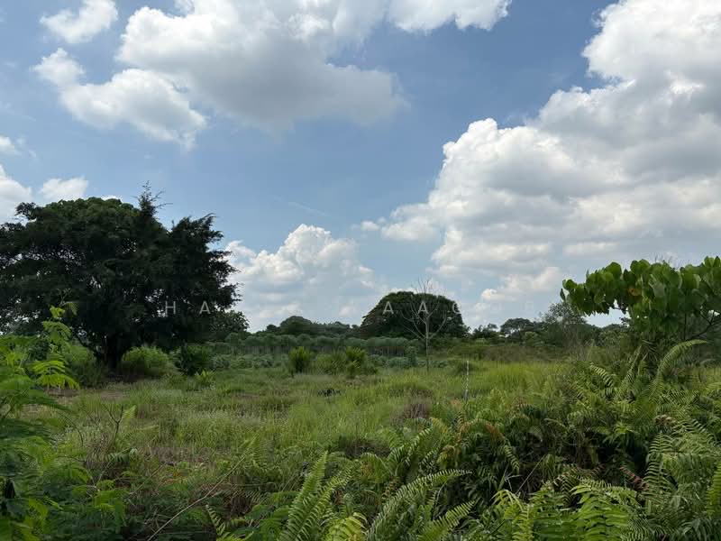 Tanah Pertanian untuk Dijual di Kampung Johan Setia (Klang) - Hafiz Yaacob - Exterior - PropertyGuru.com.my