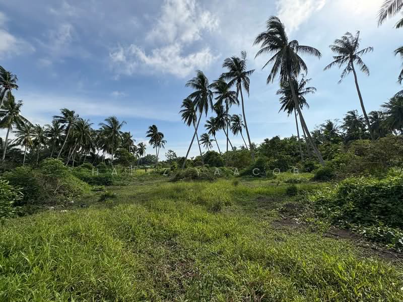 Tanah Pertanian untuk Dijual di Kampung Perepat (Kapar) - Hafiz Yaacob - Exterior - PropertyGuru.com.my