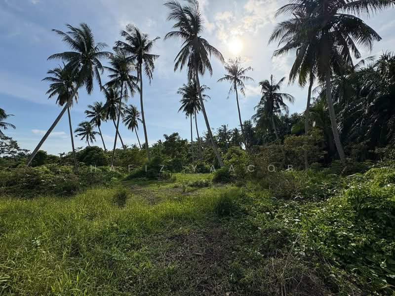 Tanah Pertanian untuk Dijual di Kampung Perepat (Kapar) - Hafiz Yaacob - Garden - PropertyGuru.com.my