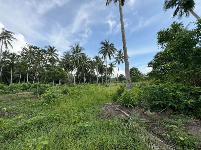 Tanah Pertanian untuk Dijual di Kampung Perepat (Kapar) - Hafiz Yaacob - Garden - PropertyGuru.com.my