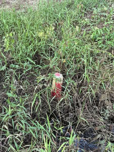 Tanah Pertanian untuk Dijual di Kampung Perepat (Kapar) - Hafiz Yaacob - PropertyGuru.com.my