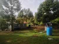 For Sale - 2.3 ac Karak Durian Land For Sale