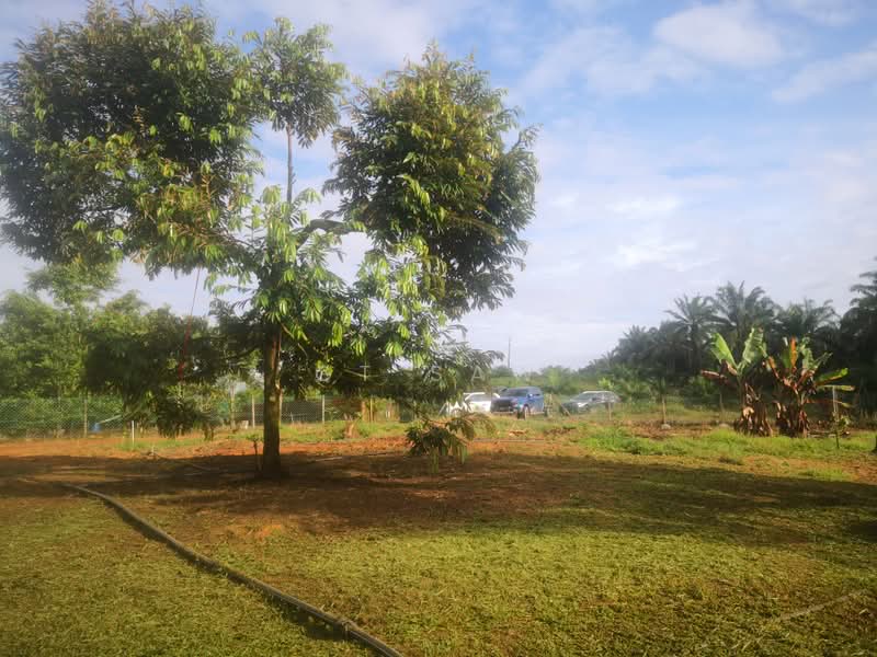 Agricultural Land for Sale in Karak (Pahang) - GT Saw - PropertyGuru.com.my