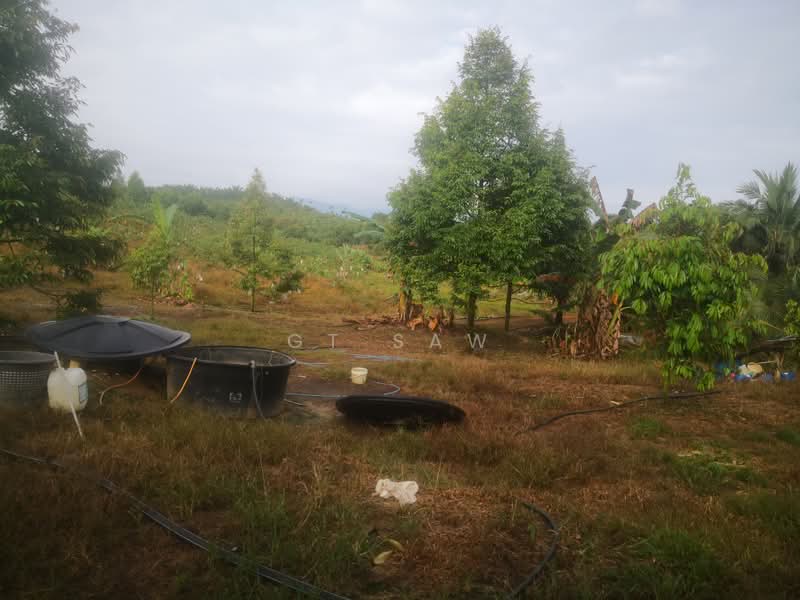 Agricultural Land for Sale in Karak (Pahang) - GT Saw - PropertyGuru.com.my