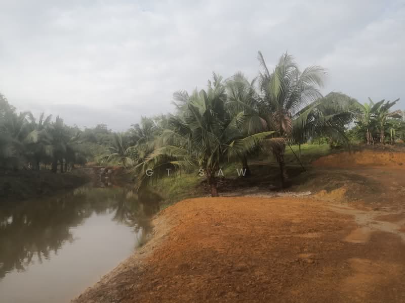 Agricultural Land for Sale in Karak (Pahang) - GT Saw - PropertyGuru.com.my
