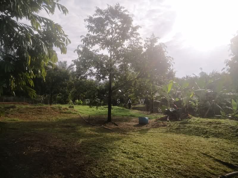 Agricultural Land for Sale in Karak (Pahang) - GT Saw - PropertyGuru.com.my