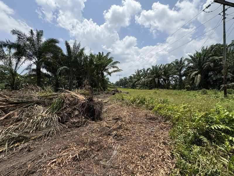 Tanah Kediaman untuk Dijual di Bestari Jaya (Selangor) - Hafiz Yaacob - Exterior - PropertyGuru.com.my