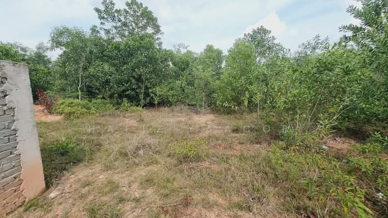 Tanah Kediaman untuk Dijual di Bandar Tasik Senangin (Lenggeng) - Hafiz Yaacob - Exterior - PropertyGuru.com.my