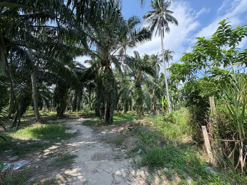 Tanah Pertanian untuk Dijual di Teluk Gong (Port Klang (Pelabuhan Klang)) - Hafiz Yaacob - Exterior - PropertyGuru.com.my