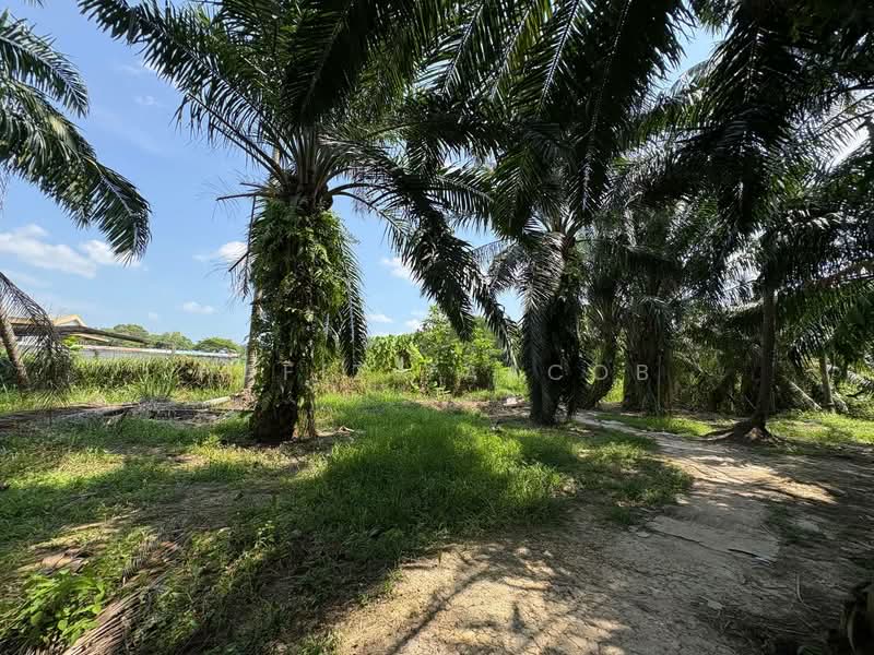 Tanah Pertanian untuk Dijual di Teluk Gong (Port Klang (Pelabuhan Klang)) - Hafiz Yaacob - Exterior - PropertyGuru.com.my