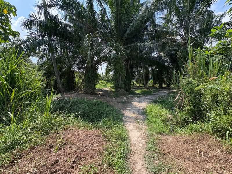 Tanah Pertanian untuk Dijual di Teluk Gong (Port Klang (Pelabuhan Klang)) - Hafiz Yaacob - Exterior - PropertyGuru.com.my