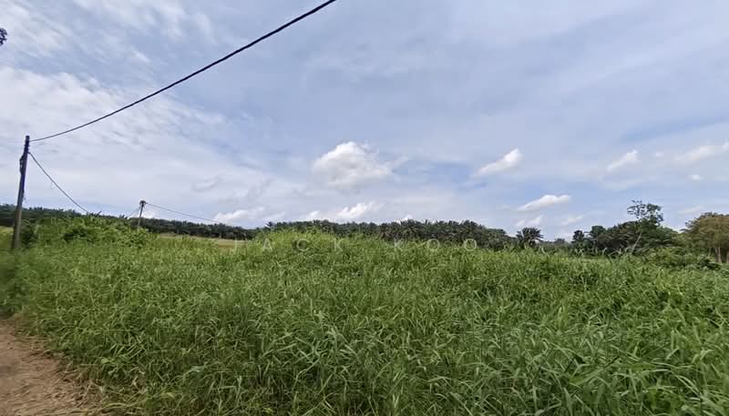 Industrial Land for Sale in Sungai Tiram (Ulu Tiram) - Jack Koo - PropertyGuru.com.my