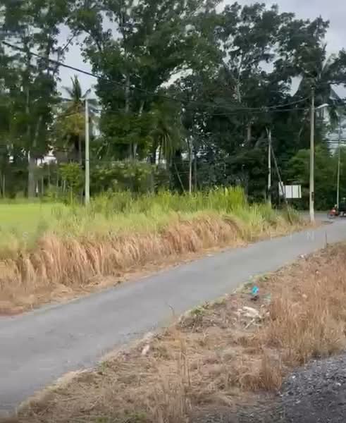 Tanah Pertanian untuk Dijual di Padang Besar (Perlis) - Shahrol Ariffin - Exterior - PropertyGuru.com.my