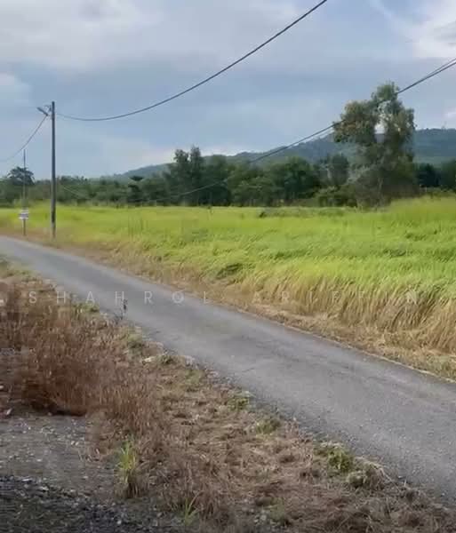 Tanah Pertanian untuk Dijual di Padang Besar (Perlis) - Shahrol Ariffin - Exterior - PropertyGuru.com.my