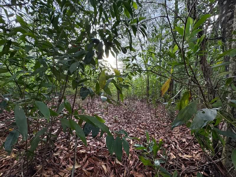 Tanah Kediaman untuk Dijual di Bandar Tasik Kesuma (Beranang) - Hafiz Yaacob - Exterior - PropertyGuru.com.my