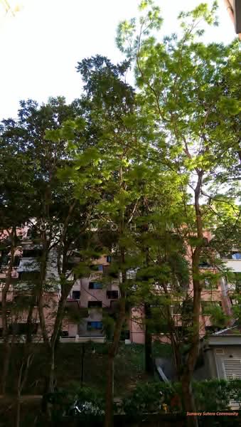 Condominium for Sale at Sunway Sutera Condominium - Nor Mohamad - Exterior - PropertyGuru.com.my