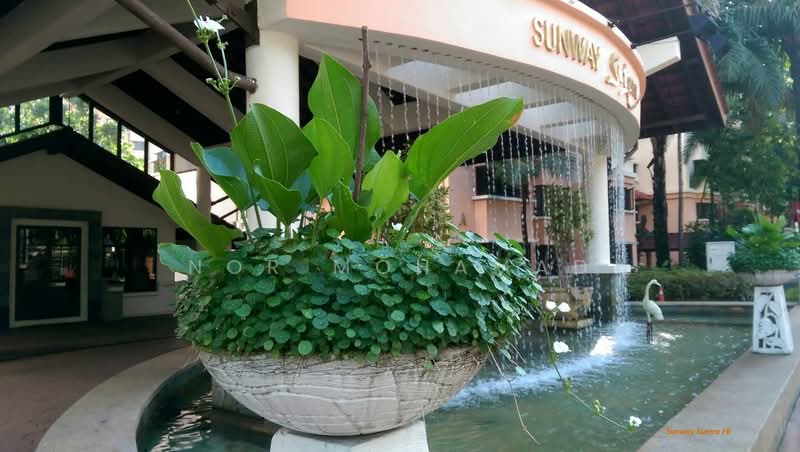 Condominium for Sale at Sunway Sutera Condominium - Nor Mohamad - Lobby - PropertyGuru.com.my