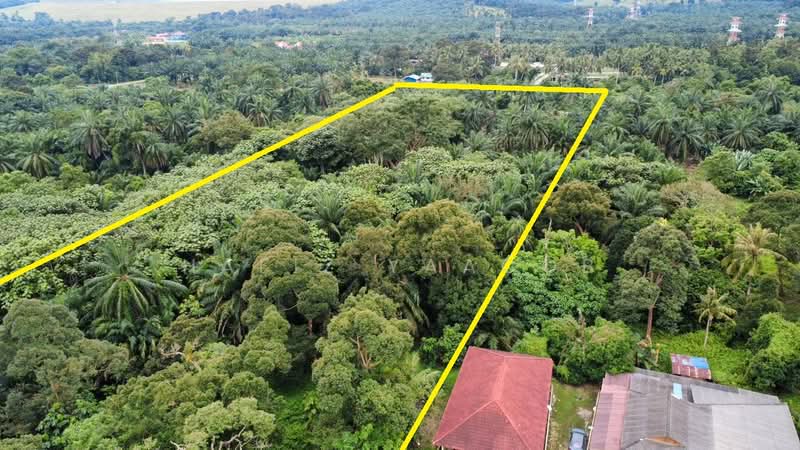 Tanah Pertanian untuk Dijual di Kampung Giching (Sepang) - Hafiz Yaacob - Exterior - PropertyGuru.com.my