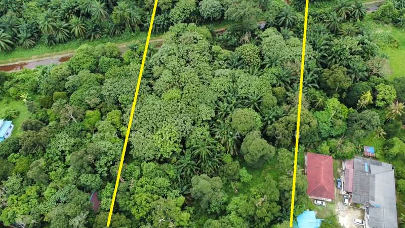 Tanah Pertanian untuk Dijual di Kampung Giching (Sepang) - Hafiz Yaacob - Exterior - PropertyGuru.com.my