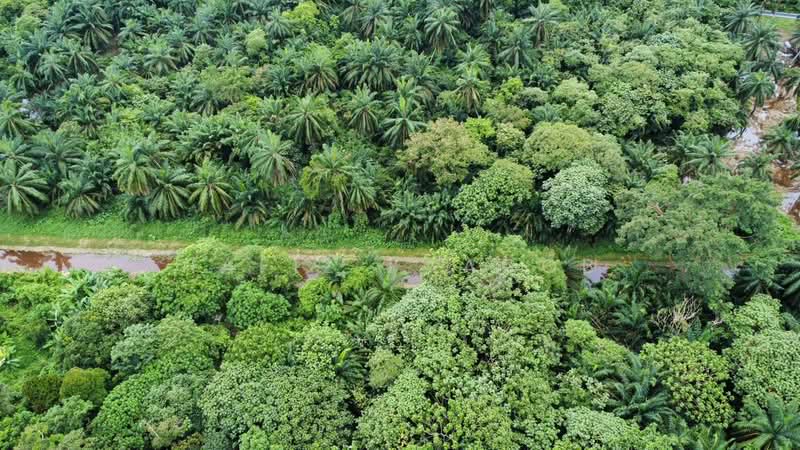 Tanah Pertanian untuk Dijual di Kampung Giching (Sepang) - Hafiz Yaacob - Exterior - PropertyGuru.com.my