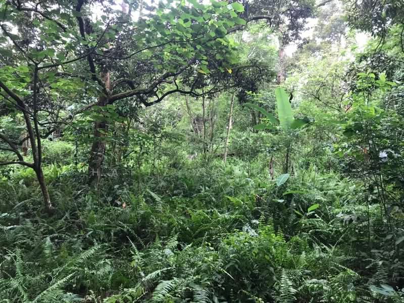 Tanah Pertanian untuk Dijual di Kampung Giching (Sepang) - Hafiz Yaacob - Garden - PropertyGuru.com.my
