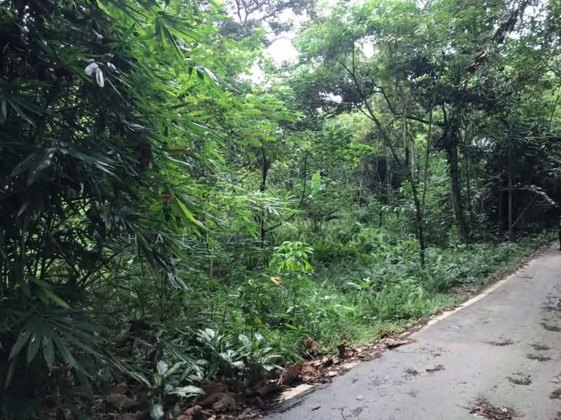 Tanah Pertanian untuk Dijual di Kampung Giching (Sepang) - Hafiz Yaacob - Exterior - PropertyGuru.com.my