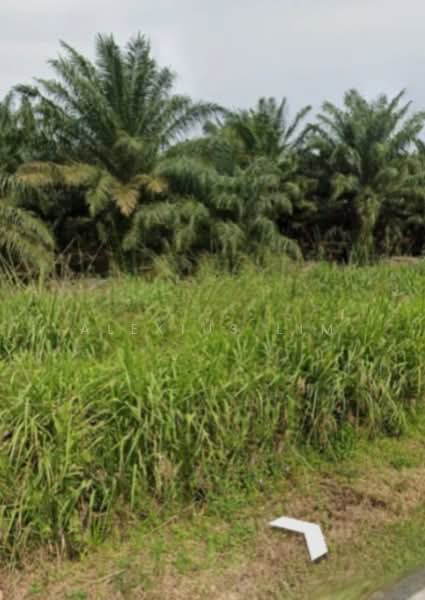 Tanah Pertanian untuk Dijual di Kukup (Johor) - Alexius Lim - Exterior - PropertyGuru.com.my