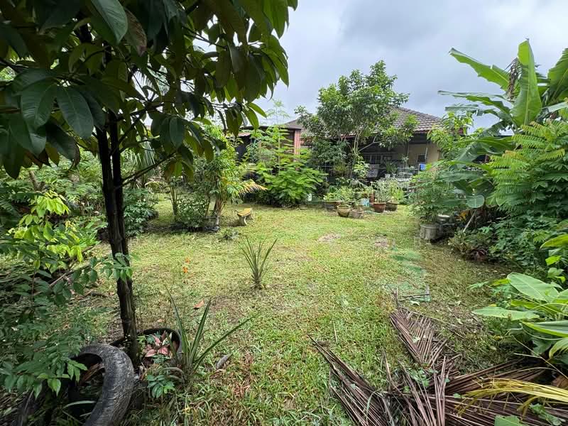 Bungalow for Sale in Taman Aisyah (Shah Alam) - Hafiz Yaacob - Garden - PropertyGuru.com.my