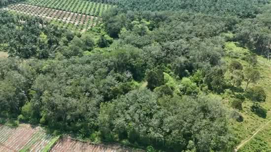 Agricultural Land for Sale in Sungai Siput (Perak) - Marcus Seng - PropertyGuru.com.my