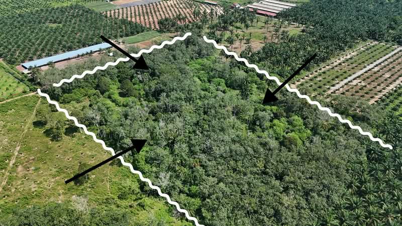 Agricultural Land for Sale in Sungai Siput (Perak) - Marcus Seng - Exterior - PropertyGuru.com.my