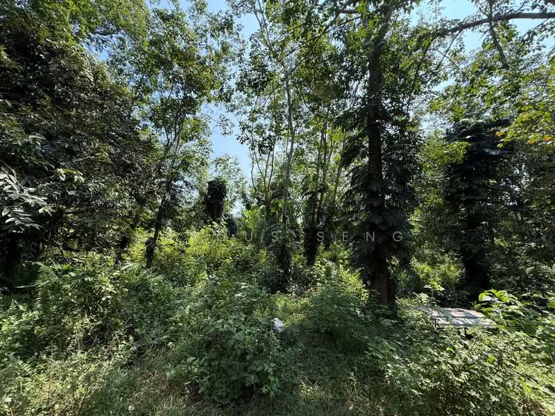 Agricultural Land for Sale in Sungai Siput (Perak) - Marcus Seng - Garden - PropertyGuru.com.my
