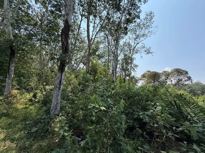 Agricultural Land for Sale in Sungai Siput (Perak) - Marcus Seng - Exterior - PropertyGuru.com.my