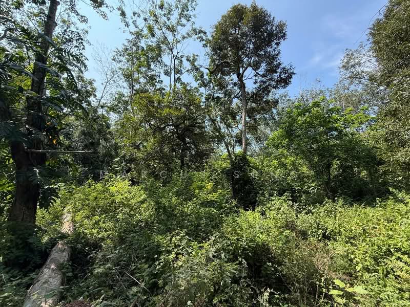 Agricultural Land for Sale in Sungai Siput (Perak) - Marcus Seng - Exterior - PropertyGuru.com.my