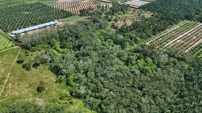 Agricultural Land for Sale in Sungai Siput (Perak) - Marcus Seng - Exterior - PropertyGuru.com.my