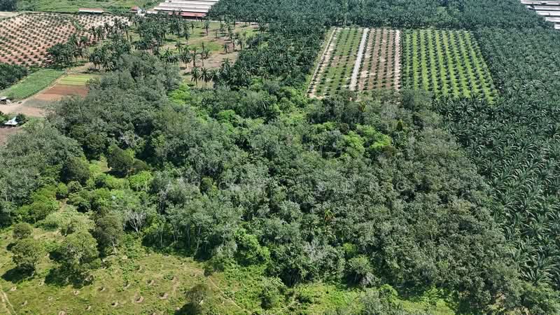 Agricultural Land for Sale in Sungai Siput (Perak) - Marcus Seng - Exterior - PropertyGuru.com.my