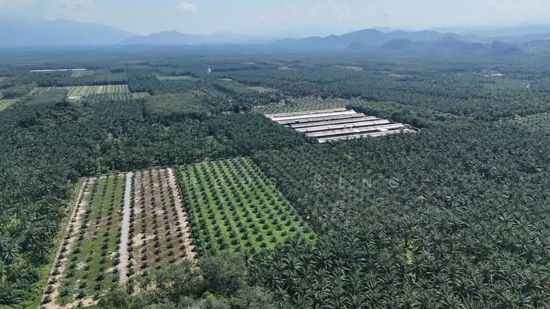 Agricultural Land for Sale in Sungai Siput (Perak) - Marcus Seng - Exterior - PropertyGuru.com.my
