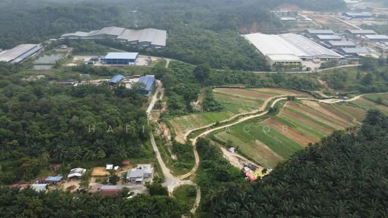Agricultural Land for Sale in HULU KUANG (Kuang) - Hafiz Yaacob - Exterior - PropertyGuru.com.my