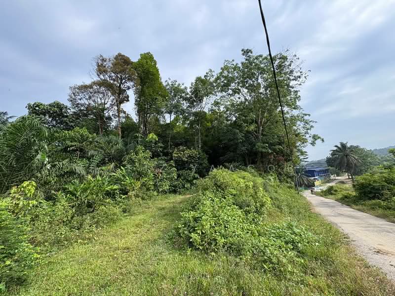 Agricultural Land for Sale in HULU KUANG (Kuang) - Hafiz Yaacob - Exterior - PropertyGuru.com.my