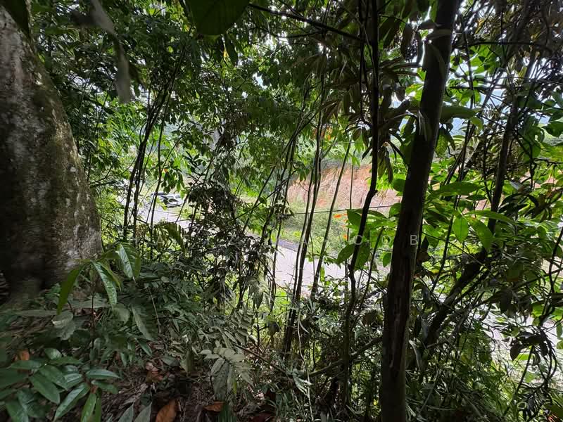 Agricultural Land for Sale in HULU KUANG (Kuang) - Hafiz Yaacob - Exterior - PropertyGuru.com.my