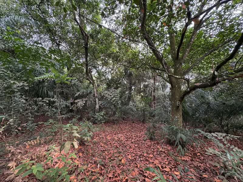 Agricultural Land for Sale in HULU KUANG (Kuang) - Hafiz Yaacob - Exterior - PropertyGuru.com.my
