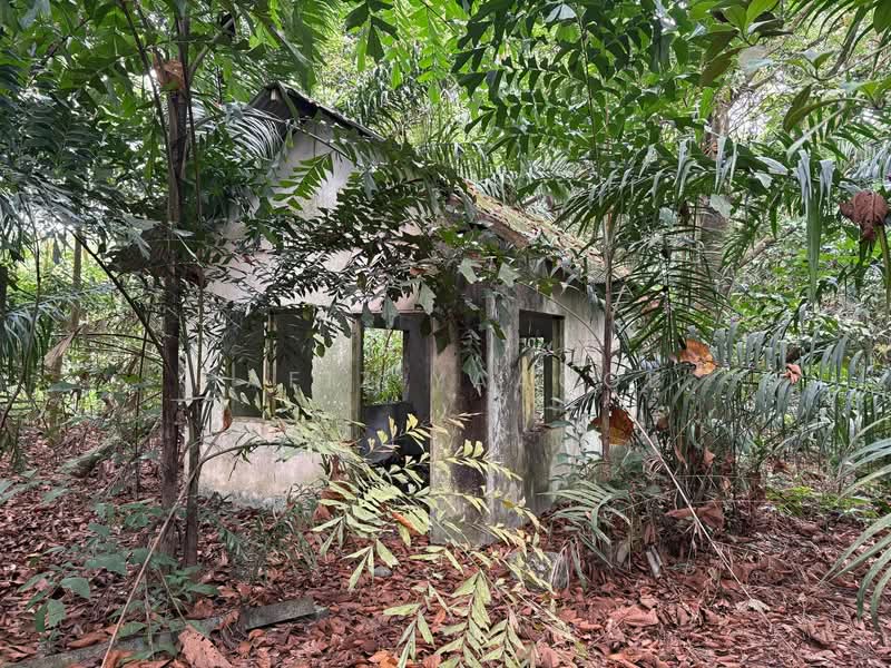 Agricultural Land for Sale in HULU KUANG (Kuang) - Hafiz Yaacob - Exterior - PropertyGuru.com.my