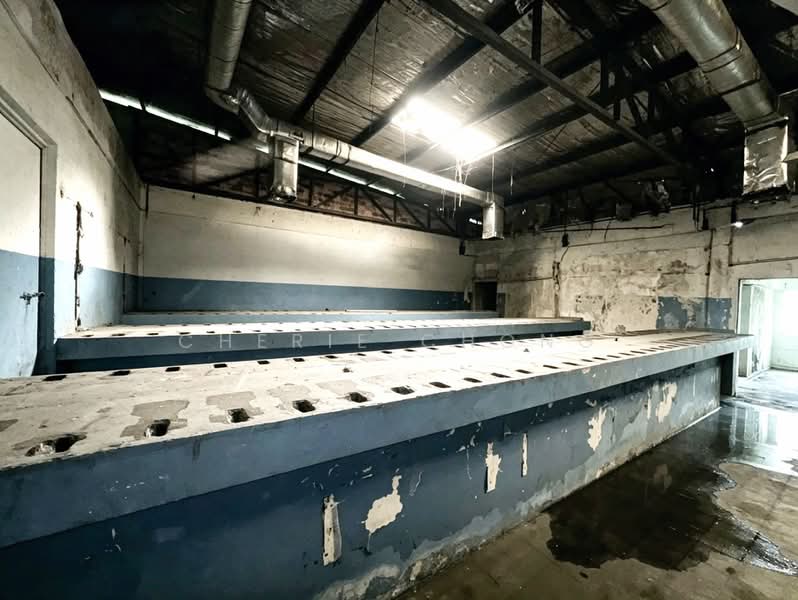 Factory for Sale in Gunung Rapat (Ipoh) - Cherie Chong - PropertyGuru.com.my