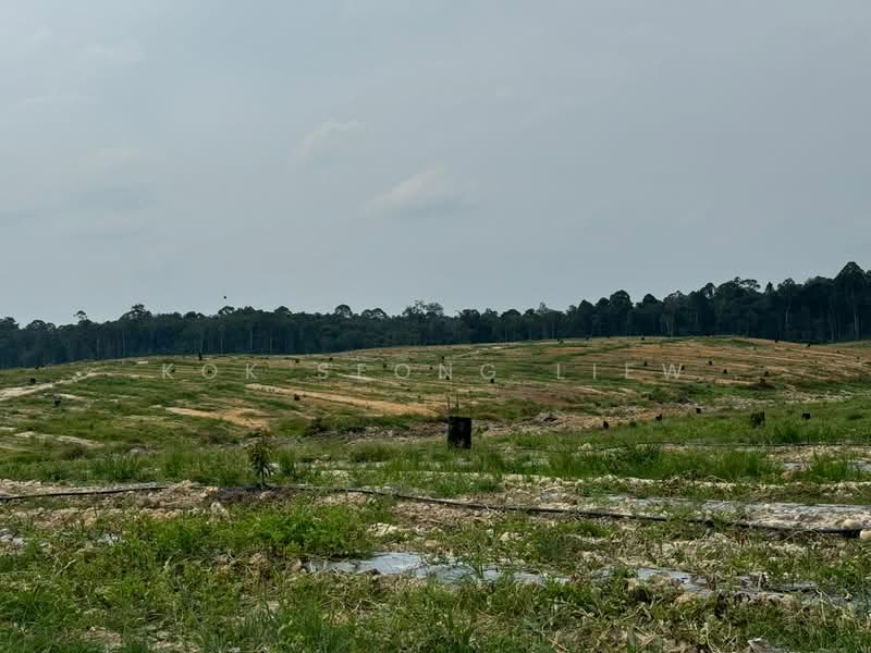 Agricultural Land for Sale in Rawang (Selangor) - Kok Seong Liew - PropertyGuru.com.my