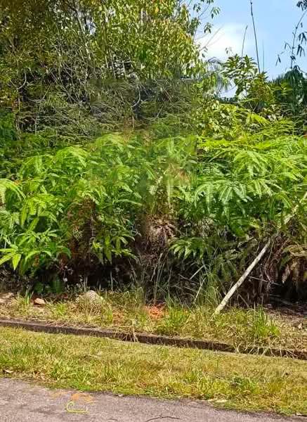 Tanah Kediaman untuk Dijual di Bentong (Pahang) - Peggy Lim - Exterior - PropertyGuru.com.my